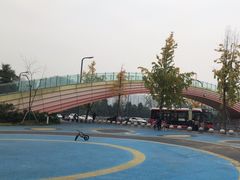 -府河摄影公园