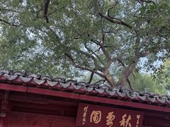 -秋霞圃
