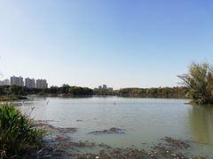 -昆山城市生态森林公园