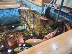 -老康火锅(黄河路总店)