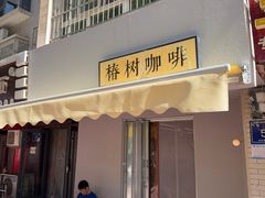 -椿树咖啡