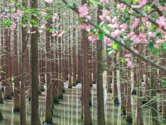 -尚湖风景区