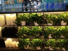 -青瓷火锅料理(西单大悦城店)