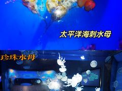 -泉城欧乐堡海洋极地世界