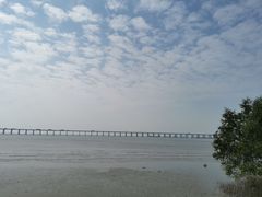 -宝安西湾红树林湿地公园