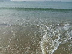 -盐洲岛
