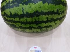 -庞各庄翠芳园西瓜蔬菜基地采摘园