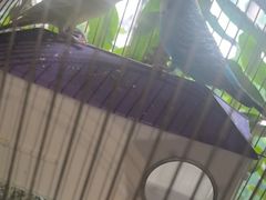 -草原塞蛮羊火锅城(港湾店)