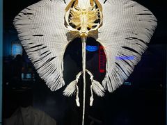 -海合安武汉极地海洋公园