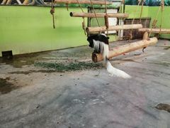 -石家庄市动物园