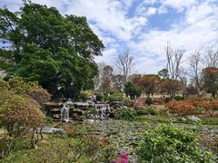-东莞植物园