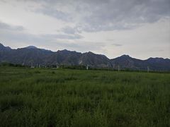 -敕勒川草原文化旅游区