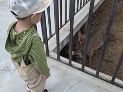 -石家庄市动物园