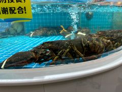 -皮记海鲜1995(寮步店)