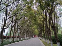 -上海鲜花港