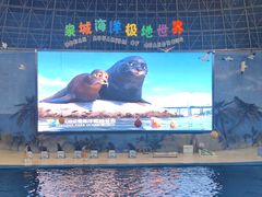 -泉城欧乐堡海洋极地世界