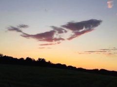 -猫尾侦探俱乐部·剧本杀·狼人杀