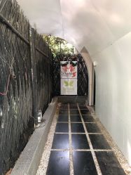 -苗方清颜·祛痘皮肤管理