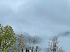 -光雾山旅游景区