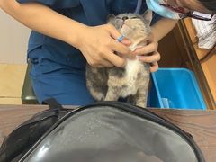 -阿荣24H宠物医院·综合型转诊中心·CT·核磁影像中心