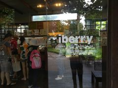 -莓园冰淇淋店