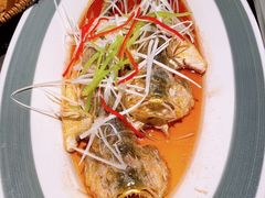 -前海沿·青岛菜(大拇指广场石老人店)