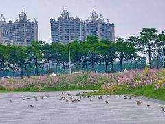 -海心沙亚运公园