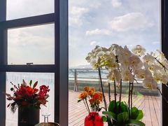 -人间采蜜(海信广场店)