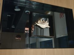 门面-海底捞火锅(长沙华创国际广场店)