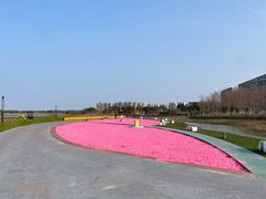 -春花秋色城市公园