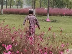 -汉长安城未央宫国家考古遗址公园