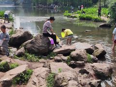 -重庆彩云湖湿地公园