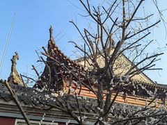 -长春观