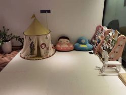 -明宇集团·积木枝芽母婴健康管理中心(天府店)