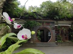 -深圳仙湖植物园