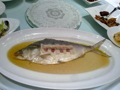 清蒸鲥鱼-福1039(愚园路店)