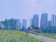 -永康森林公园