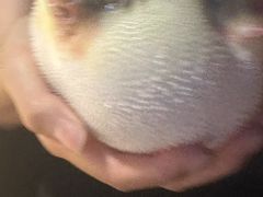 -永安鱼庄·镇江菜(丁卯店)