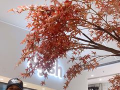 -艾薯夫妇Aysh(福田星河COCOPark店)