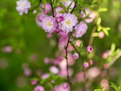 -广富林郊野公园