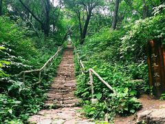 景点久久天梯-三块石国家森林公园