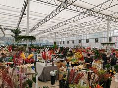 -三圣花乡旅游区