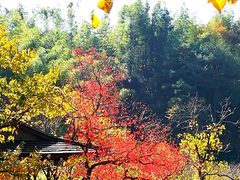 -塔川景区