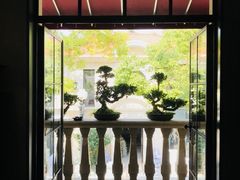 -子福慧(虹桥店)