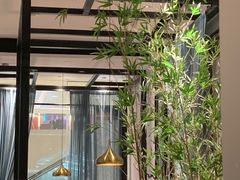 -羲和雅苑•北京烤鸭(乐园道万象城店)