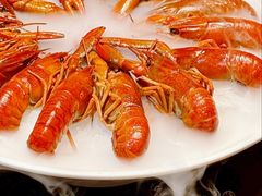 -红盔甲·小龙虾(天钥桥店)