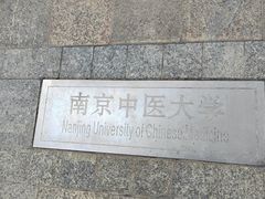 -羊山湖公园