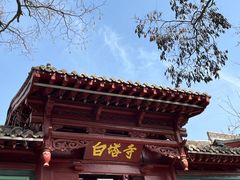 -白塔山公园
