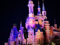 -上海迪士尼度假区