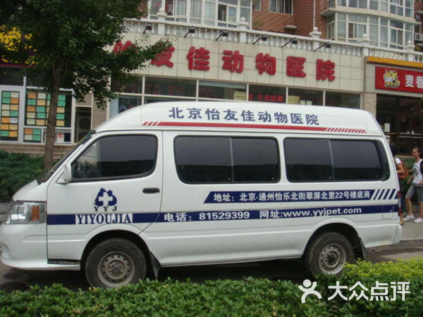 怡友佳动物医院手术室图片-北京宠物医院-大众点评网